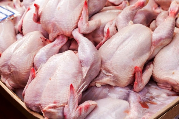 هرگونه افزایش قیمت مرغ در ایلام غیر قانونی می باشد