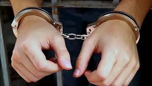 دستگیری ۱۲ سارق در اجرای طرح پیشگیری از سرقت