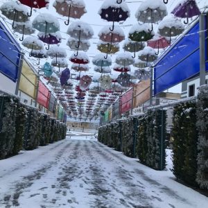 گزارش تصویری/بارش برف در شهر ایلام
