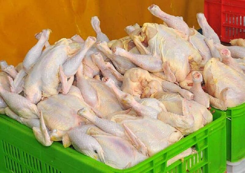 نظارت بر توزیع مرغ کشتار روز در استان ایلام