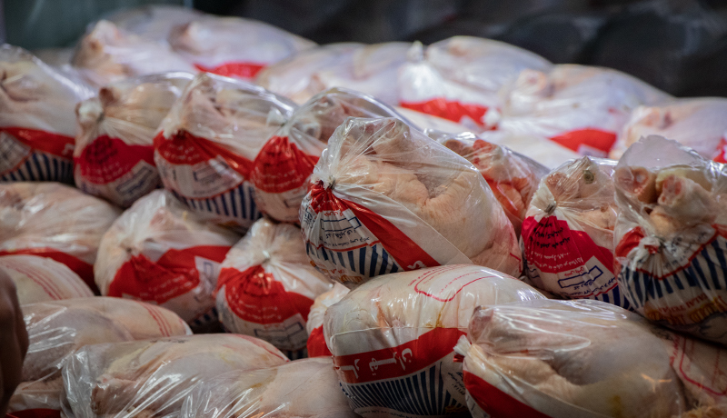 توزیع ۹۶۵ تن مرغ منجمد در ایلام