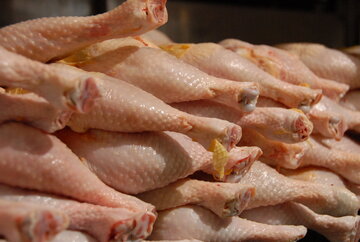 عرضه مرغ قطعه بندی در بازار ایلام ممنوع است