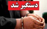دستگیری عامل قتل سه عضو خانواده در استان سیستان و بلوچستان