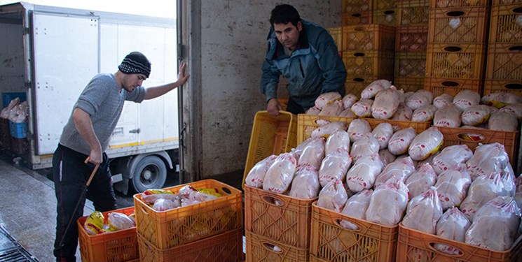 توزیع ۷۰۰ تن مرغ منجمد در راستای تنظیم بازار در ایلام