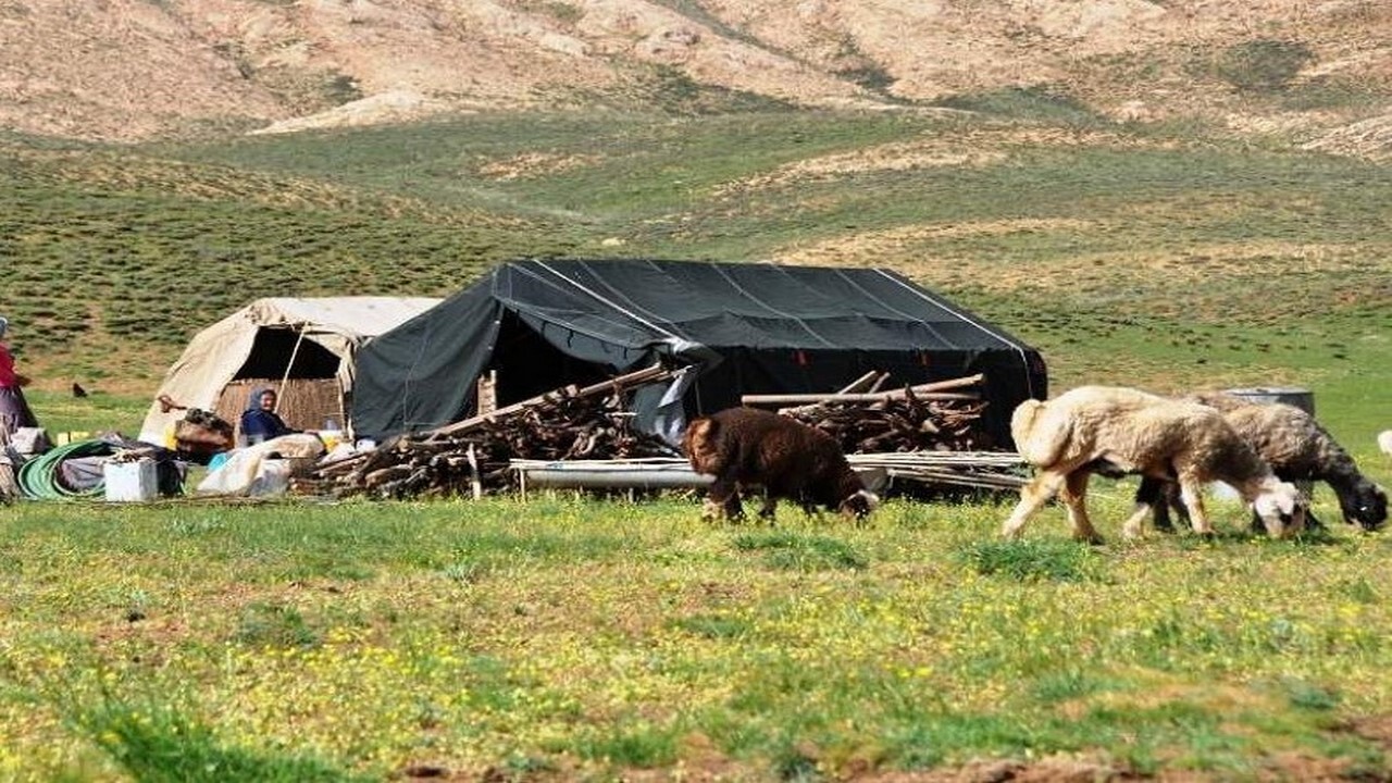 کوچ عشایر به مناطق قشلاقی جنوب استان ایلام آغاز شد