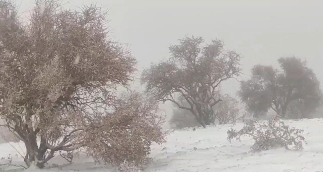 فیلم|بارش زیبای برف در کبیرکوه شهرستان دره شهر