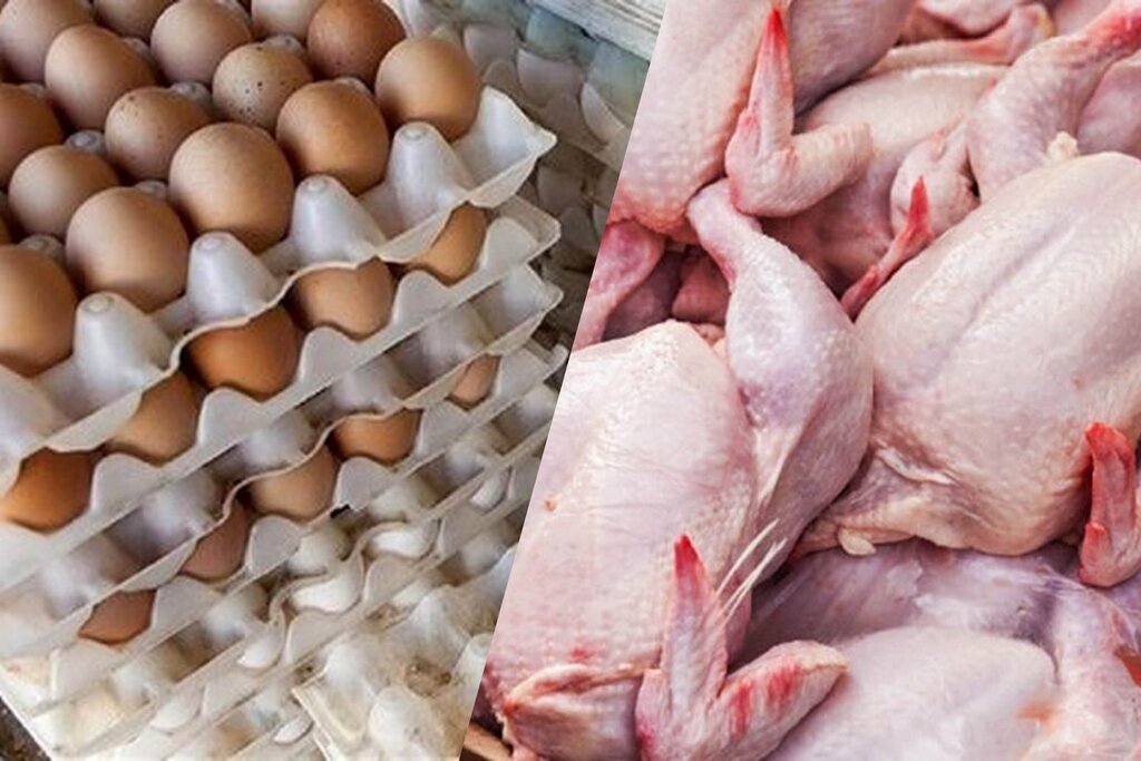 قیمت جدید مرغ و تخم‌مرغ تا پایان فروردین سال آینده تثبیت می‌شود