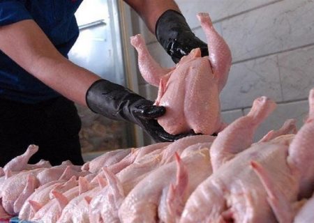 فروش و توزیع مرغ به خارج از استان ممنوع است