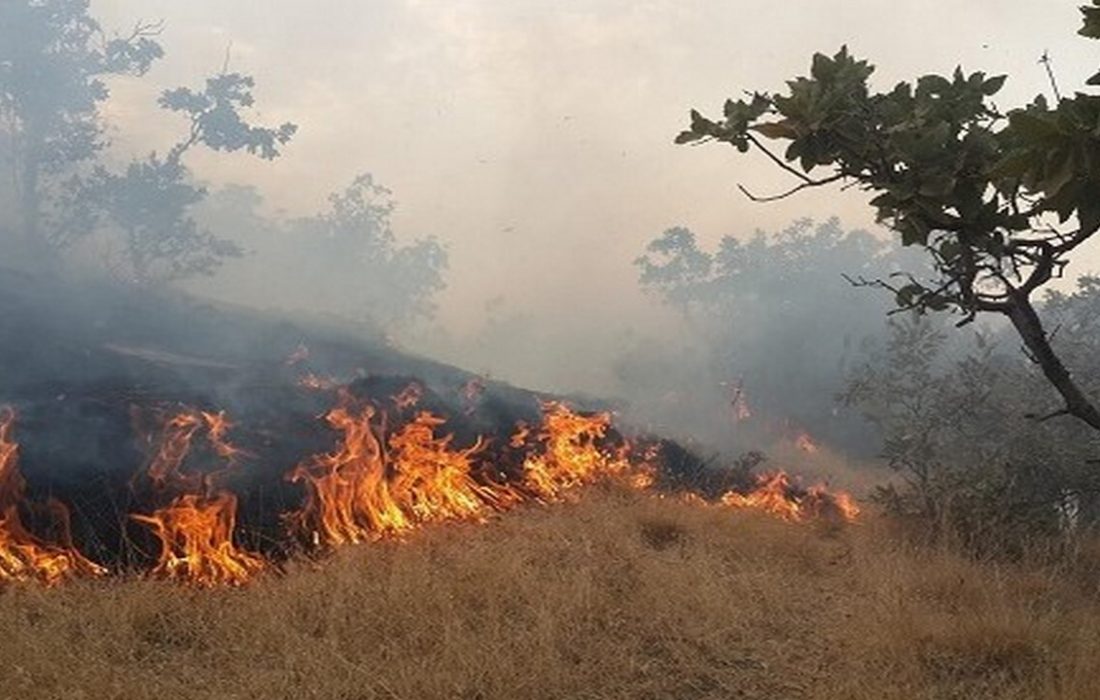 ۹۹ درصد آتش سوزی‌ها در ایلام مربوط به پس چرای مزارع است