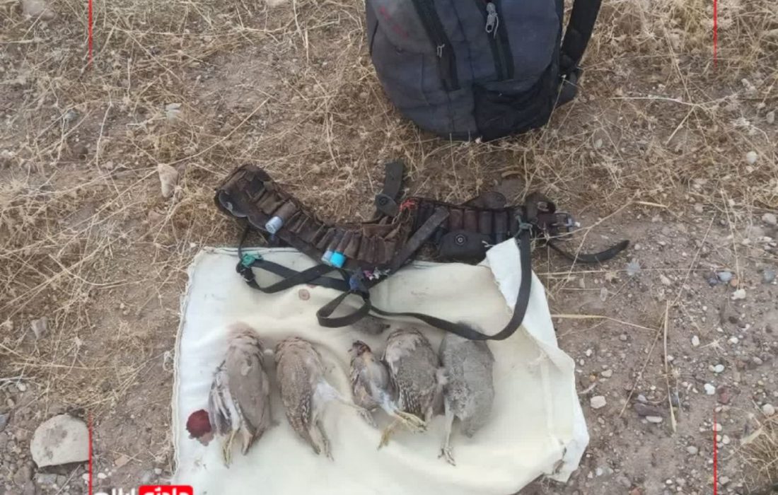 شکارچی پرندگان دهلرانی به ۶ ماه دانه پاشی برای پرندگان محکوم شد
