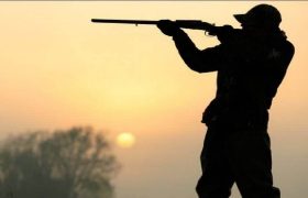 بازداشت ۲ شکارچی متخلف در مهران