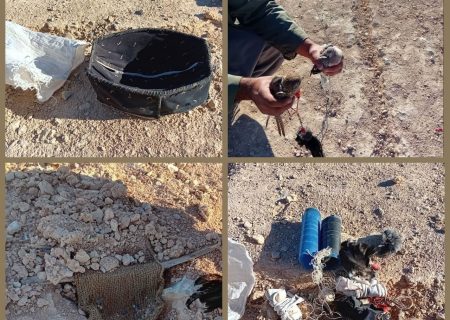 دستگیری متخلف زنده گیری پرندگان شکاری در صالح آباد