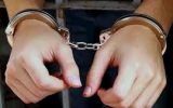 دستگیری ۱۲ سارق در اجرای طرح پیشگیری از سرقت