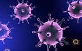ثبت ۷ مورد مثبت جدید دیگر ویروس جدید کرونا در سطح استان