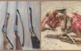 دستگیری ۱۰ شکارچی غیر مجاز طی هفته گذشته در ایلام