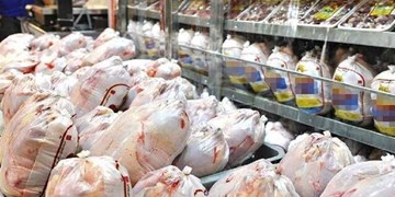 آرامش در بازارمرغ و تخم‌مرغ/ قیمت مرغ۱۰ هزار تومان کاهش یافت
