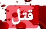 قتل ۶ افغانستانی و ۴ ایرانی توسط یک تبعه خارجی/ قاتل اختلالات روانی داشته است