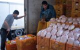 توزیع ۷۰۰ تن مرغ منجمد در راستای تنظیم بازار در ایلام