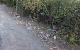 ۷۰ درصد شهر مهران بعد از اربعین نظافت شده است