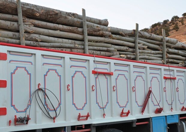 کشف ۱۸ تن چوب جنگلی قاچاق در دهلران