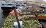 شناور ایرانی با ۱۷ کانتینر میوه در آبهای خلیج فارس غرق شد+جزئیات