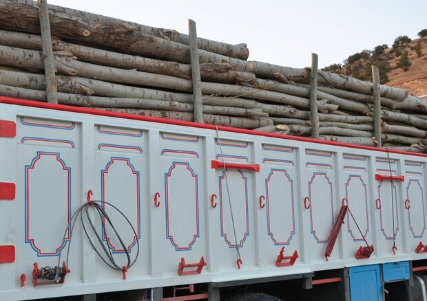 کشف ۳ کامیون حامل چوب قاچاق در ایلام