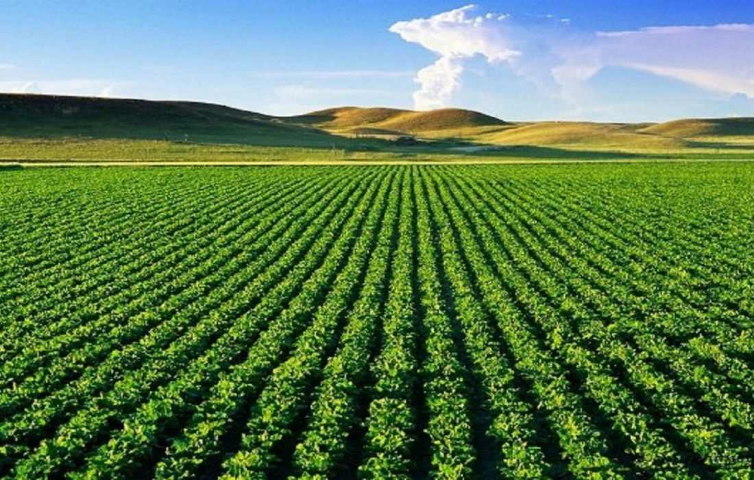 پیشرفت ۸۵ درصدی پروژه سامانه گرمسیری در استان ایلام