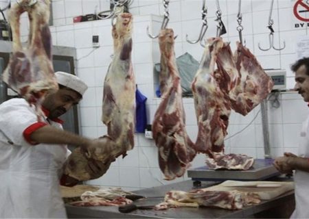 ایلام در شیوع بیماری‌های مشترک بین انسان و دام شرایط مناسبی ندارد