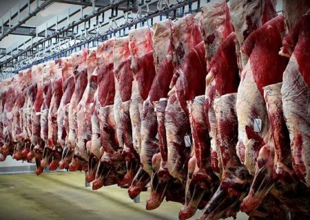 عرضه گوشت گرم گوسفندی با قیمت ۲۴۰ هزار تومان در ایلام