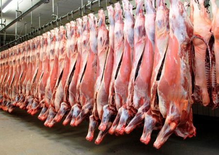 کشتارگاه ایلام ظرفیت تامین گوشت برای کشور‌های همسایه را دارد