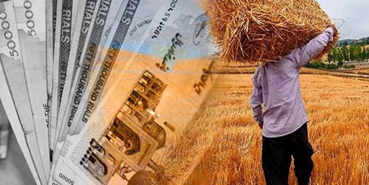 مطالبات ۵۱۰ میلیارد تومانی گندم کاران از بانک کشاورزی