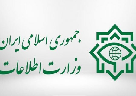 وزارت اطلاعات: اعضای ۲۳ گروه و شبکه اخلالگر کلان ارزی دستگیر شدند