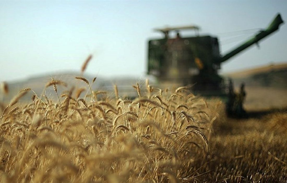 ۸ هزار تن گندم از کشاورزان مهرانی خریداری شد