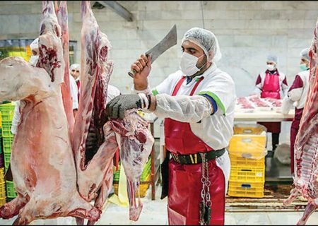 قیمت هر کیلو شقه گوسفندی به ۳۵۵ هزارتومان رسید
