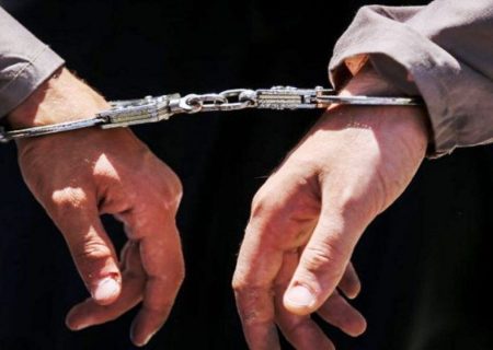 دستگیری ۷ سوداگر مرگ با ۳۸۵ بسته موادمخدر در دهلران