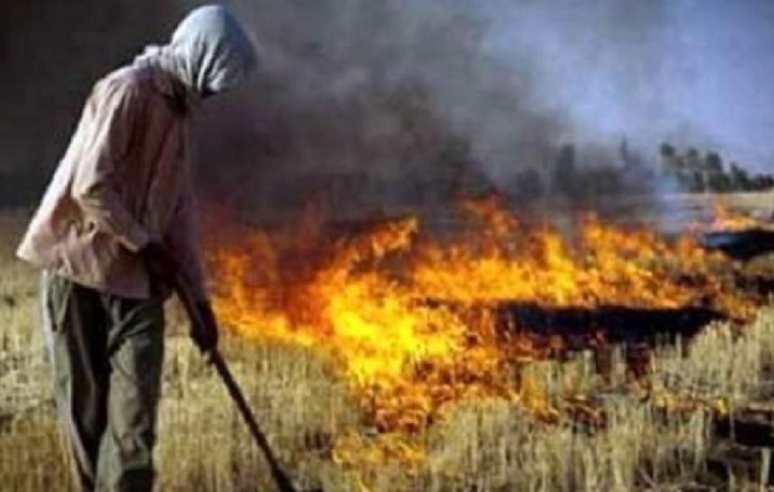 کشاورزان از سوزاندن پس چر مزارع خودداری کنند