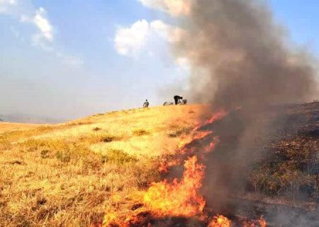 آتش سوزی ۵۰ هکتار از مزارع کشاورزی و باغات چرداول