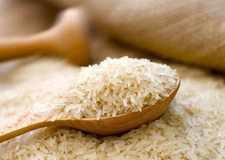 واردات برنج به ۳۰۰ هزارتن رسید
