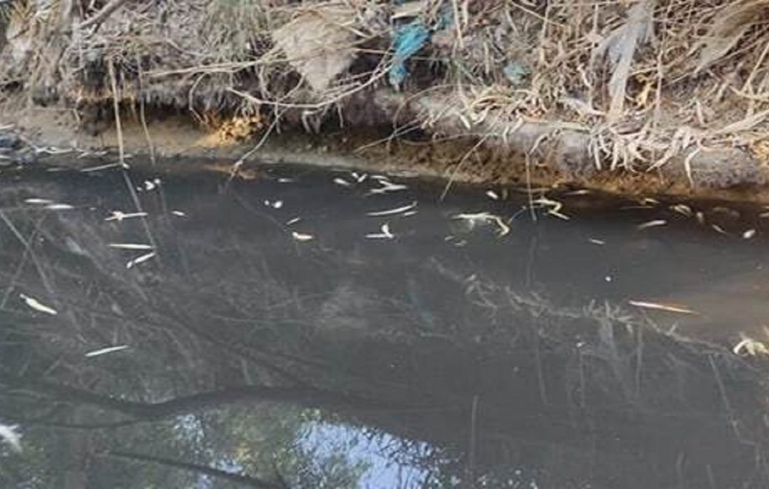 با برداشت کنندگان غیر مجاز آب رودخانه چرداول برخورد قاطعانه می‌شود