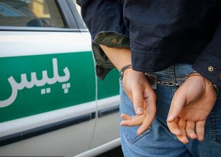 دستبند پلیس بر دستان سارق تجهیزات مخابراتی در ایلام