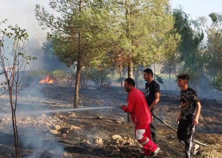 نهالستان منابع طبیعی روستای لرینی سیروان طعمه حریق شد