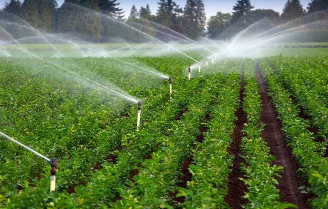 ۸۵ درصد مصرف آب استان ایلام در حوزه کشاورزی است