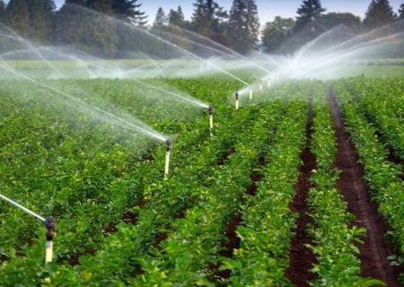 ۸۵ درصد مصرف آب استان ایلام در حوزه کشاورزی است