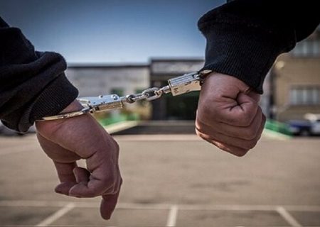 دستگیری ۳۱ نفر از مخلان نظم و امنیت در مهران