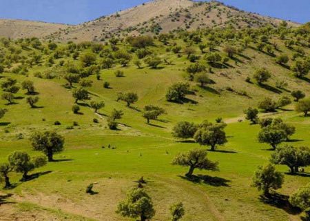 ۱۴۳ هزار هکتار از عرصه‌های طبیعی و ملی استان تحت پوشش محیط‌بانان قرار دارد