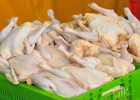 کشف و ضبط ۶ هزار کیلوگرم مرغ غیربهداشتی در ایلام