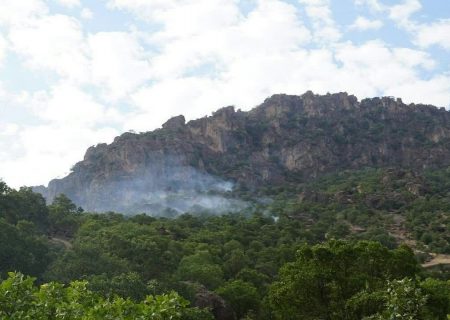 نیروهای محیط زیست برای مهار آتش سوزی ارتفاعات قلارنگ در سیروان اعزام شده اند