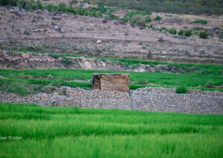 طبیعت زیبای تنگه قیر