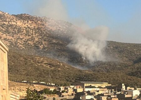 تلاش برای اطفاء حریق در کوه های شلم شهرستان ایلام همچنان ادامه دارد/دوست داران محیط زیست در صف اول کمک رسانی در اطفاء حریق