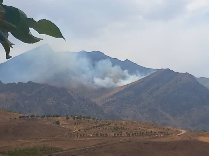 کاهش ۲۰ درصدی حریق در جنگل ها و مراتع استان ایلام به نسبت سال گذشته\ 5 عامل انسانی آتش‌سوزی‌ها به مراجع قضائی معرفی شدند